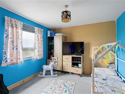 Picture 24